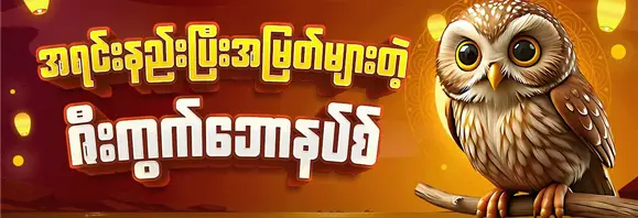 ဇီးကွက်ဘောနပ်စ်